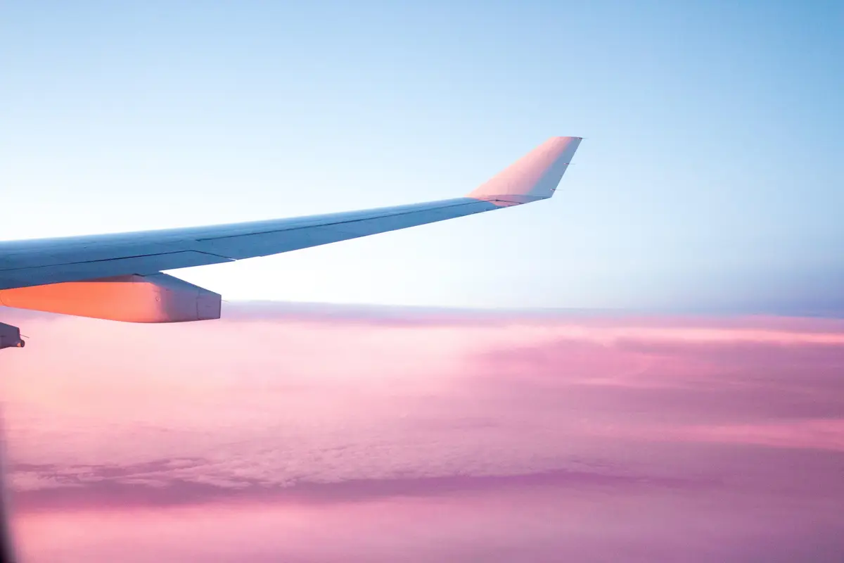 Plane wing