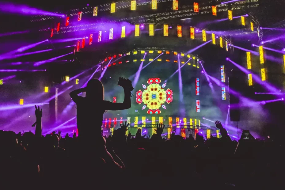 music concert scene with crowd in silhouette